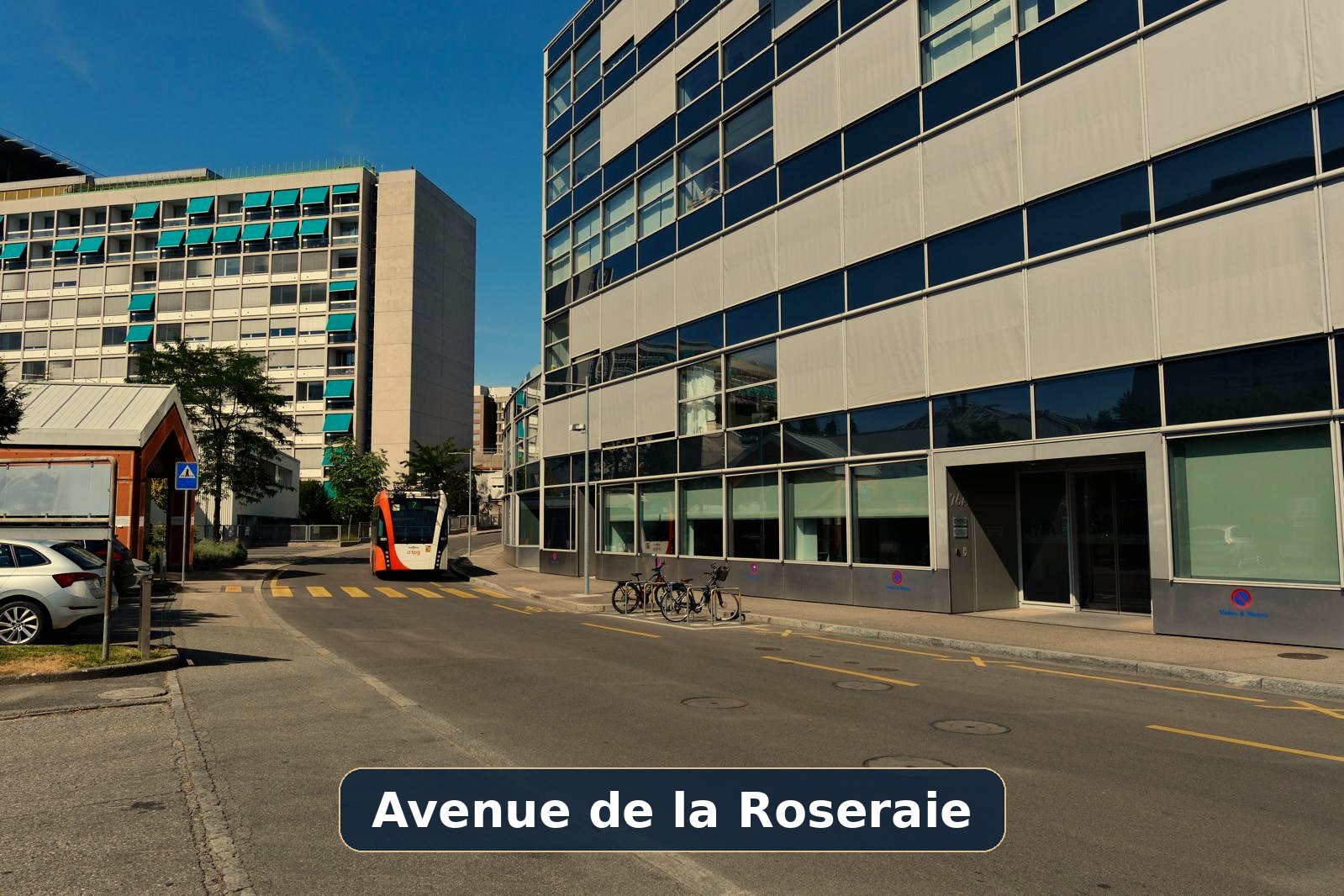 Avenue de la Roseraie, bus stop in front of the practice